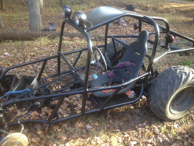 ImageUploadedByWoodsBuggy1384221533.512656.jpg