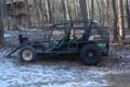 Buggy_Woodsbuggy.jpg