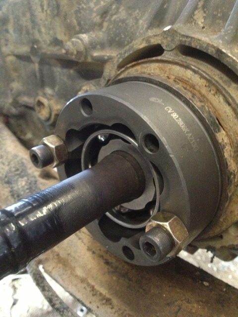 ImageUploadedByWoodsBuggy1388781792.820731.jpg