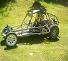 woodsbuggy.JPG