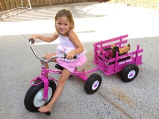 ImageUploadedByWoodsBuggy1375755540.438307.jpg