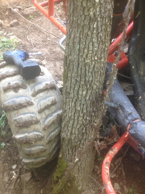 ImageUploadedByWoodsBuggy1378085094.123617.jpg