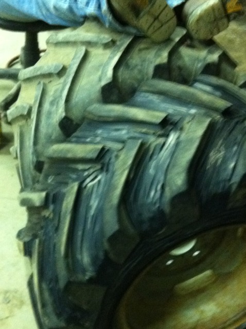 ImageUploadedByWoodsBuggy1378532300.797459.jpg