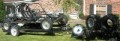 buggy4.jpg
