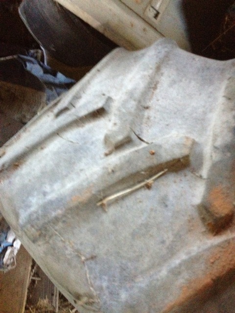 ImageUploadedByWoodsBuggy1379210240.851470.jpg