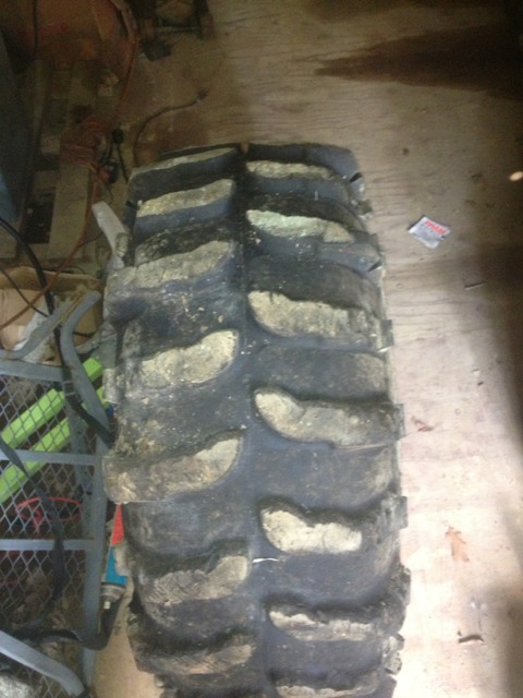 ImageUploadedByWoodsBuggy1380144908.753016.jpg