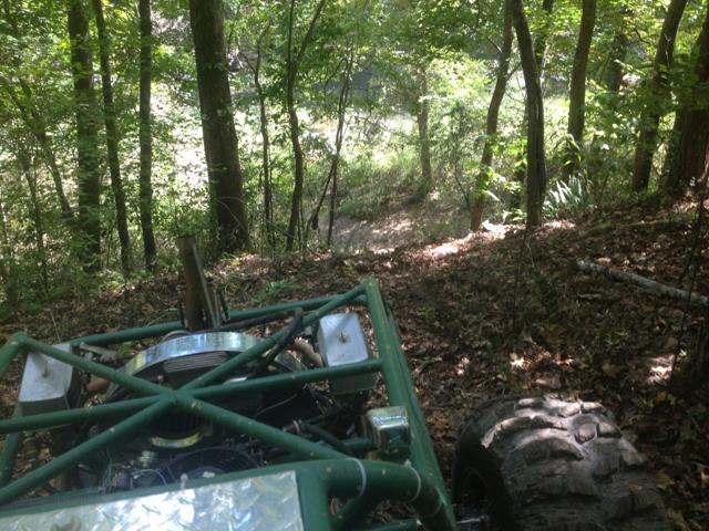 ImageUploadedByWoodsBuggy1380542529.704921.jpg