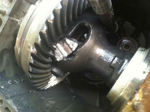 ImageUploadedByWoodsBuggy1381700929.233490.jpg